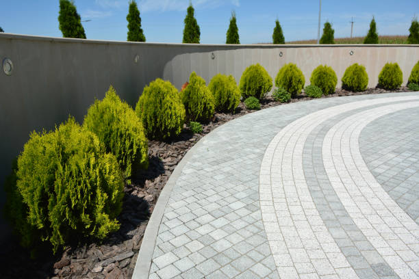 Best Driveway Repair Near Me  in Manning, SC